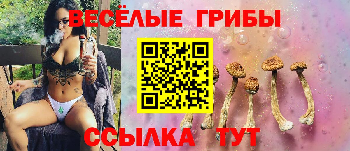 Галлюциногенные грибы Cubensis Северодвинск