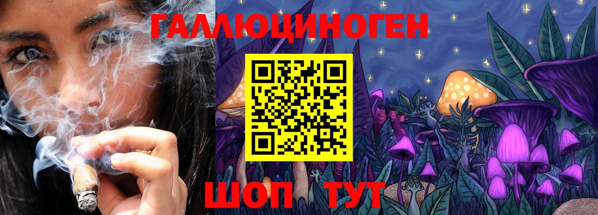 Галлюциногенные грибы GOLDEN TEACHER  Псилоцибиновые грибы Cubensis  Вход с VPN  наркошоп  Северодвинск 